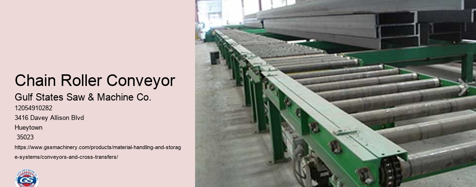 Chain Roller Conveyor